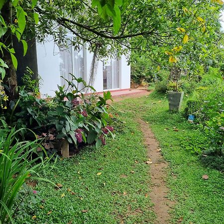 Squirrel'S Nest Hotel Kandy Buitenkant foto