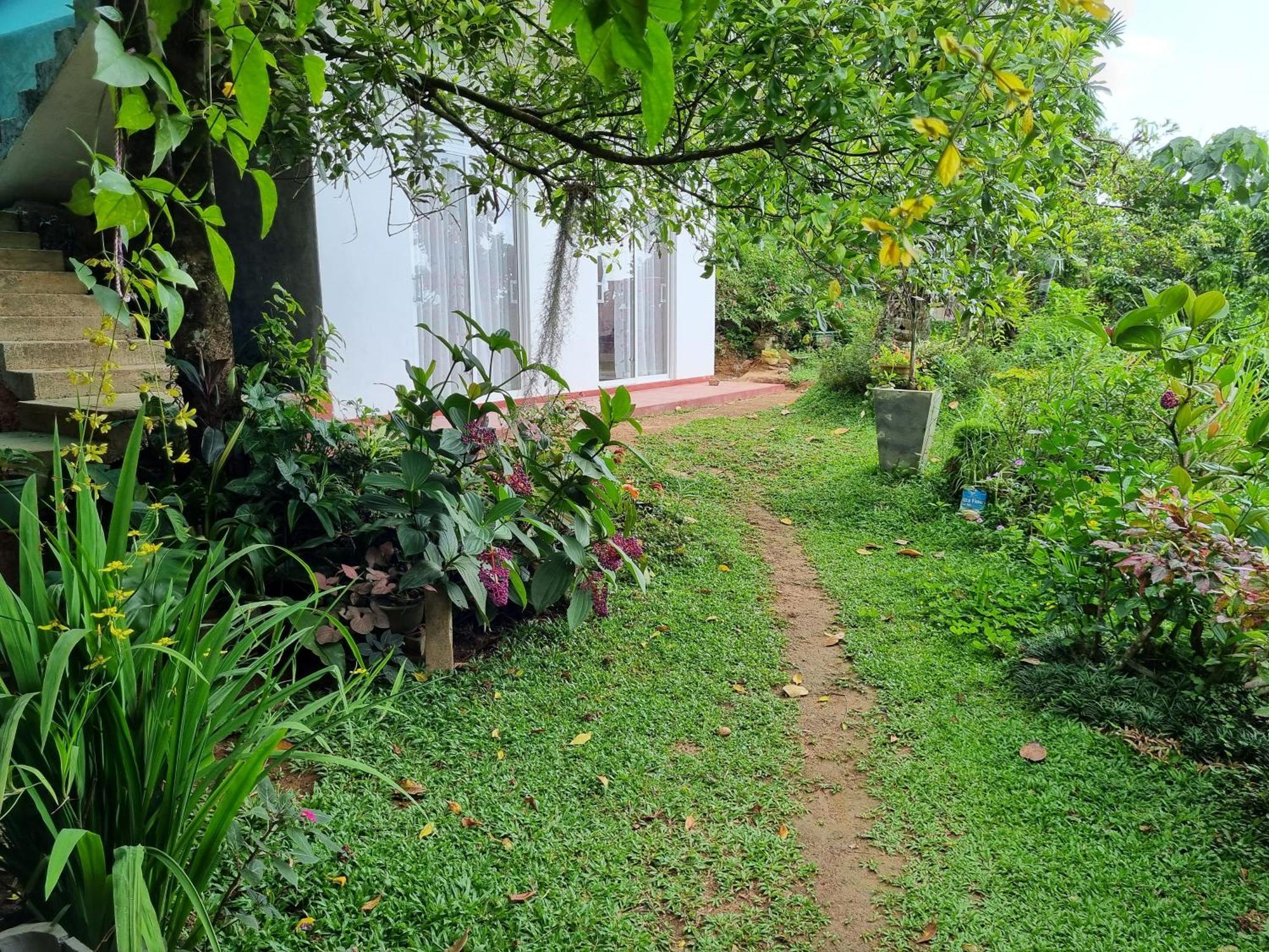 Squirrel'S Nest Hotel Kandy Buitenkant foto