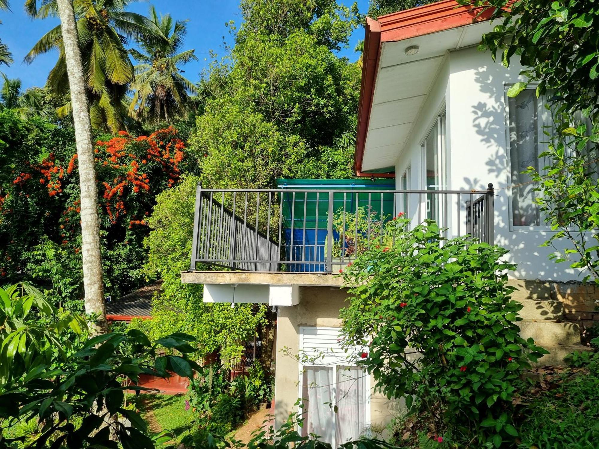 Squirrel'S Nest Hotel Kandy Buitenkant foto